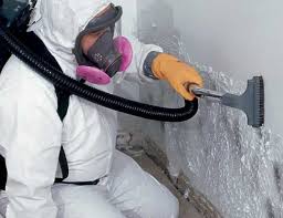 Dallesport, WA Mold Removal Services Company